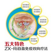 ZX-RiѪ˫Ʒɫ